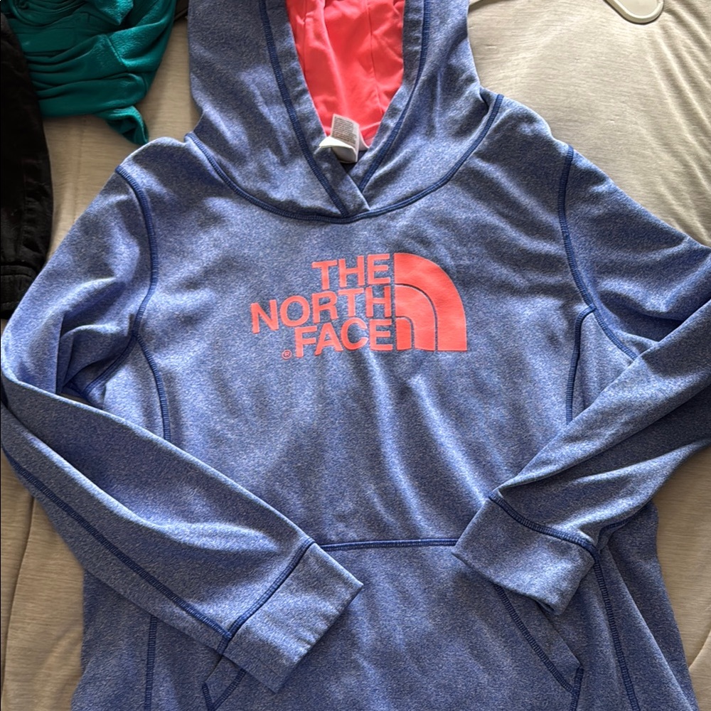 The North Face Blue and Pink Hoodie